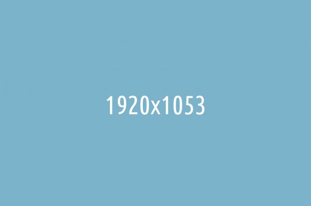 Survival strategies to ensure domination